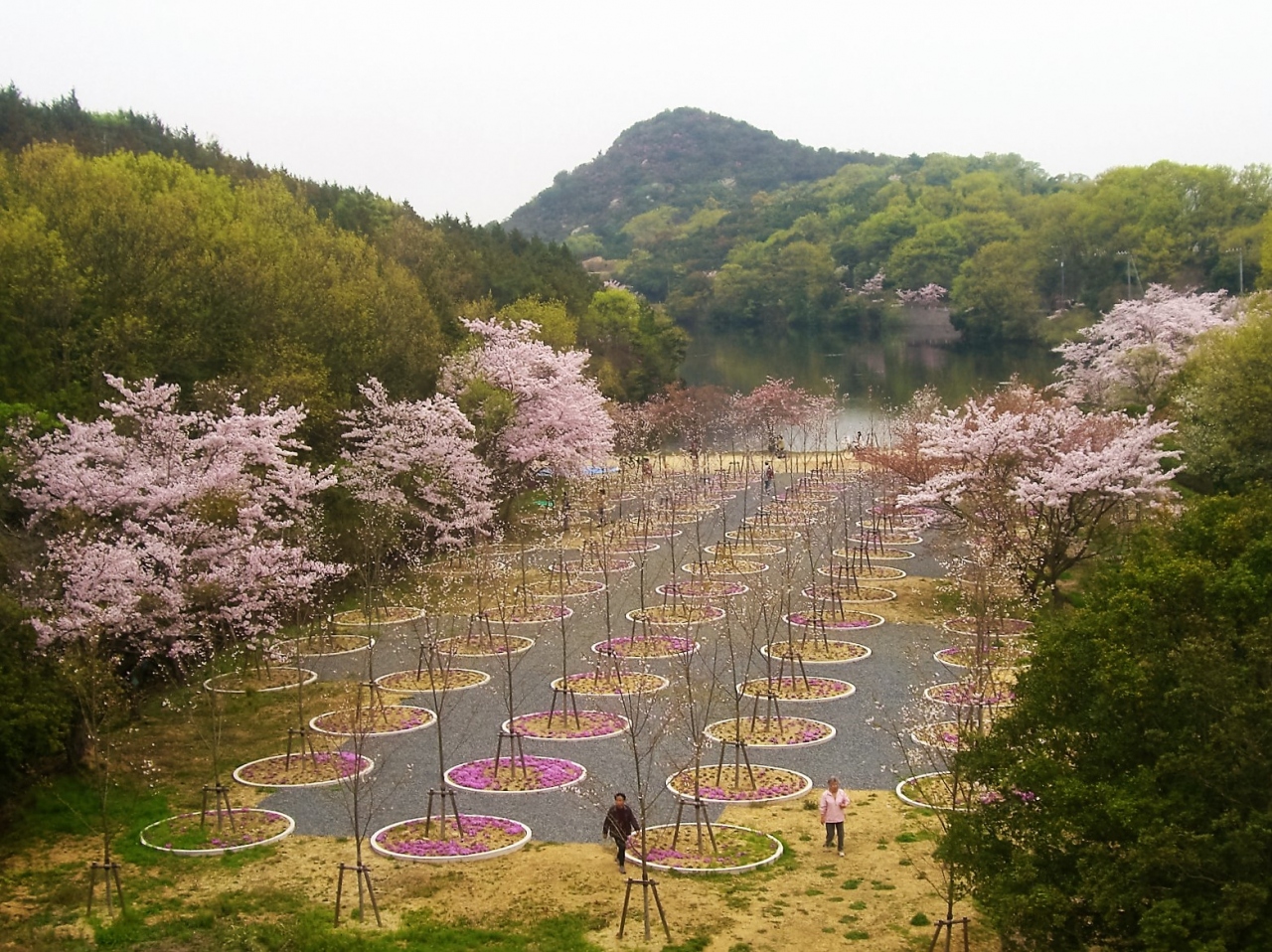 現代アートの祭典 瀬戸内国際芸術祭２０１６ Art 直島 直島 豊島 小豊島 香川県 の旅行記 ブログ By Comevaさん フォートラベル