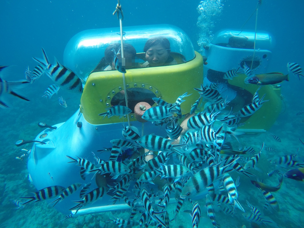 モーリシャス Mauritius 7 モンショアジー Mont Choisy Subscooter で海中散歩 グランベ モーリシャス の旅行記 ブログ By スイカさん フォートラベル モーリシャス Mauritius 7 モンショアジー Mont Choisy Subscooter で海中散歩 グランベ モーリシャス の旅行記 ブログ By スイカさん フォートラベル