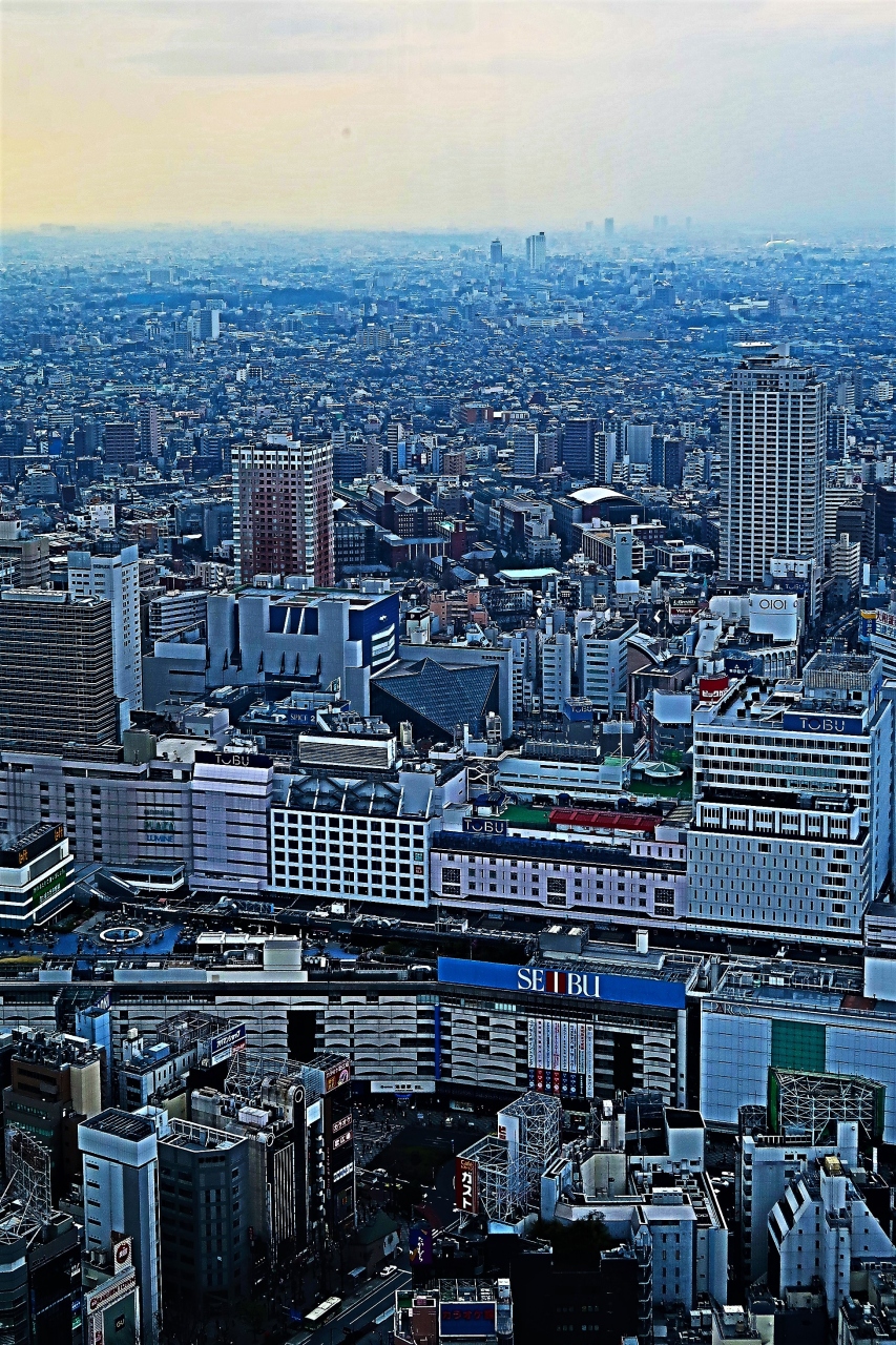 サンシャイン60 59階からの眺望 天空の庭 レストランでランチ 池袋 東京 の旅行記 ブログ By マキタン2さん フォートラベル サンシャイン60 59階からの眺望 天空の庭 レストランでランチ 池袋 東京 の旅行記 ブログ By マキタン2さん フォートラベル