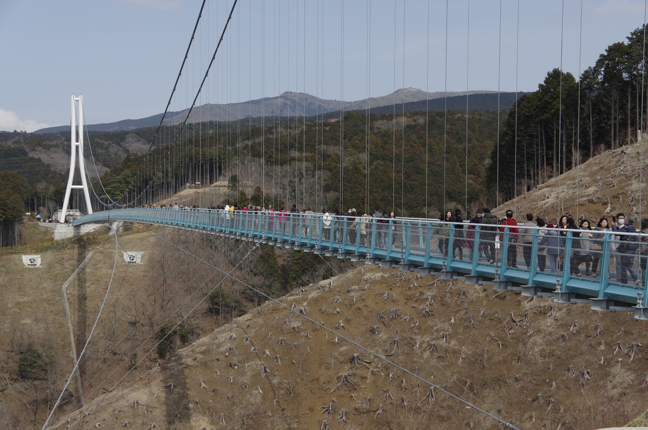 三島 伊豆長岡旅行 その1 日本一長い吊り橋 三島スカイウォーク 三島 静岡県 の旅行記 ブログ By えのさん フォートラベル