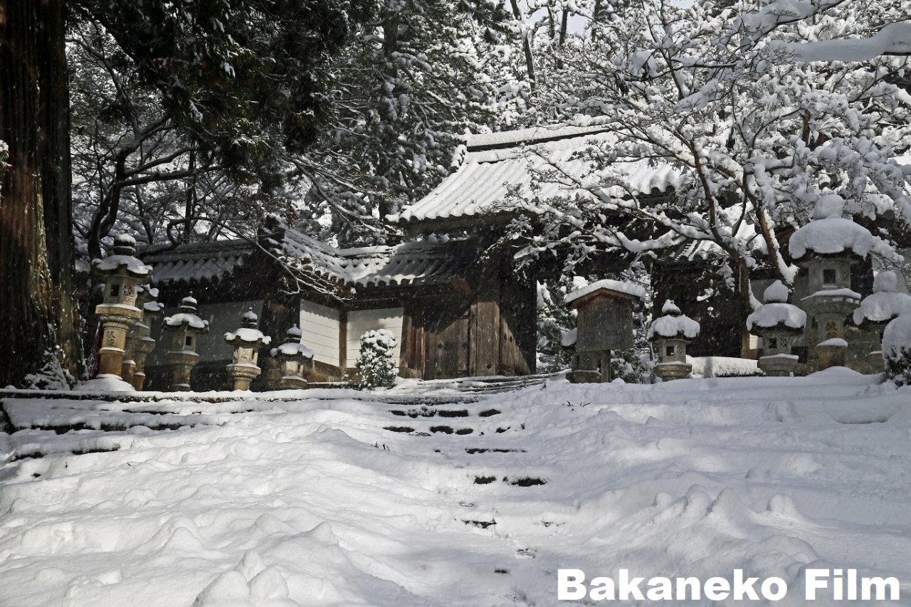 大雪の京都 高雄 西明寺 ワレ雪中ヲ行軍ス 大雪の高雄 嵐山 嵯峨野 太秦 桂 京都 の旅行記 ブログ By Bakanekoさん フォートラベル