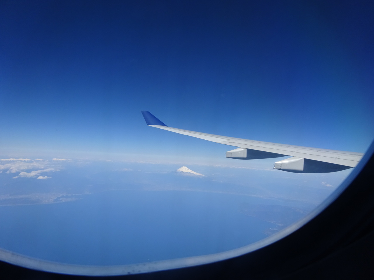 マイアミ発 カリブ海クルーズ 01 出国編 マイアミ フロリダ州 アメリカ の旅行記 ブログ By Milkさん フォートラベル マイアミ発 カリブ海クルーズ 01 出国編 マイアミ フロリダ州 アメリカ の旅行記 ブログ By Milkさん フォートラベル