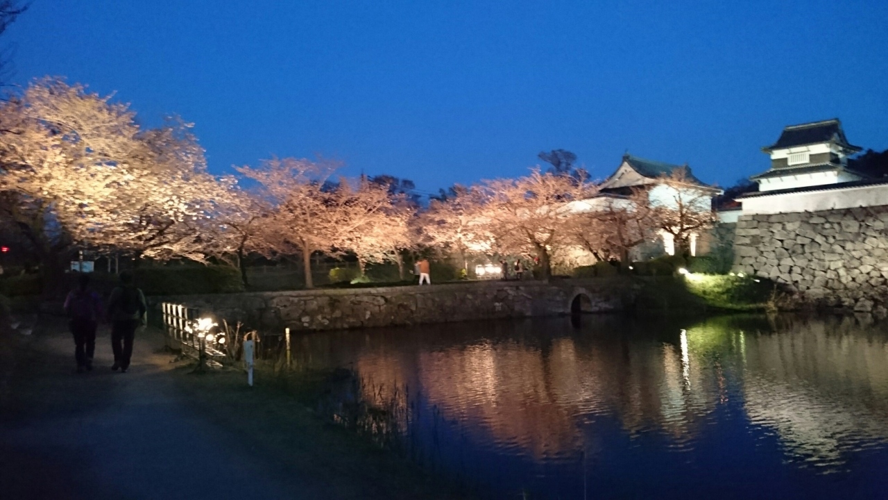 第八回福岡城さくらまつりの夜桜見物に孫と行って来ました 開花が遅くて4月9日まで延長してました 博多 福岡県 の旅行記 ブログ By Nanakoさん フォートラベル 第八回福岡城さくらまつりの夜桜見物に孫と行って来ました 開花が遅くて4月9日まで延長してました 博多 福岡県 の旅行記 ブログ By Nanakoさん フォートラベル
