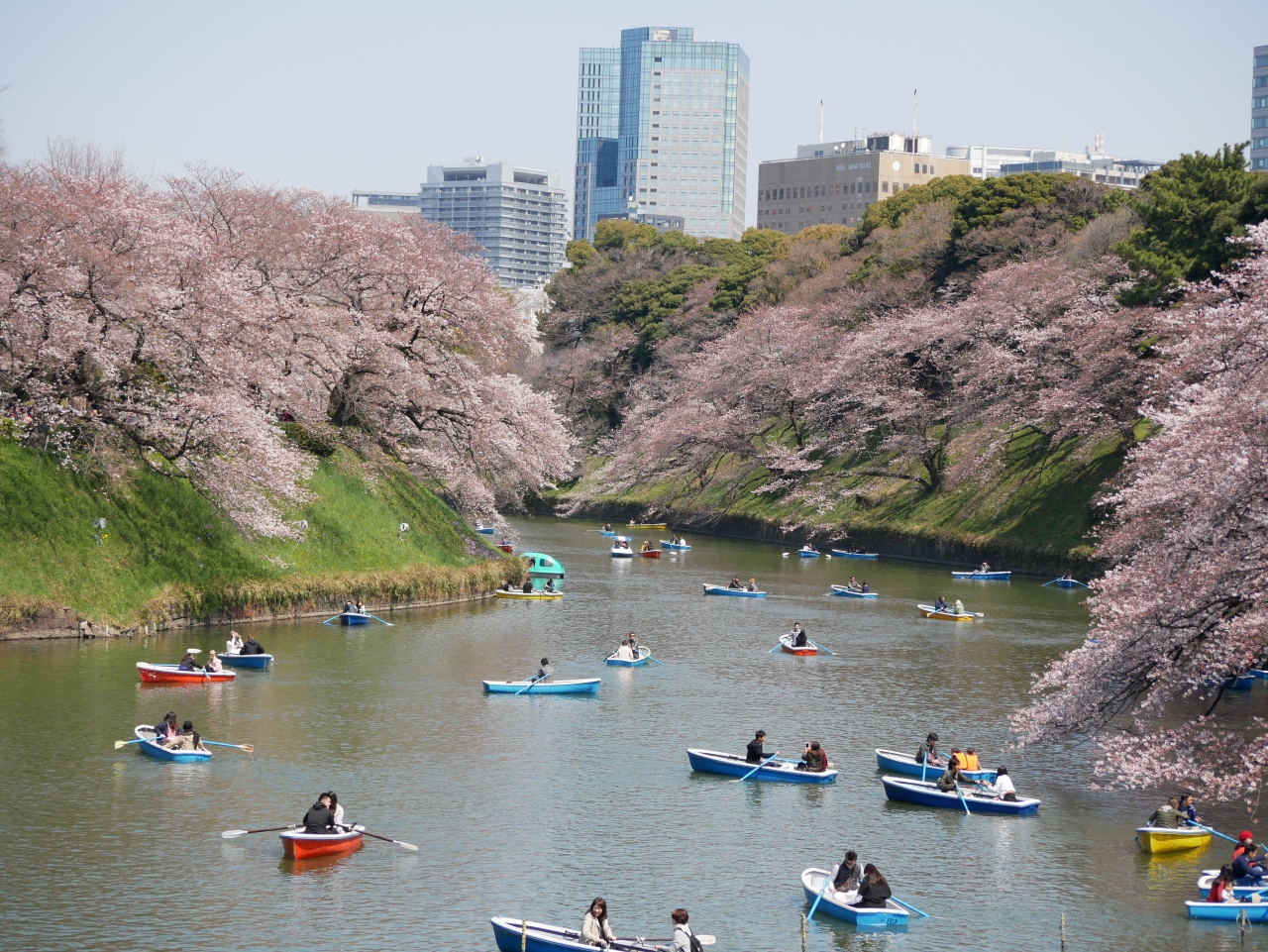 東京九段 見頃の千鳥ヶ淵 イタリア文化会館 北の丸公園を訪れて 神田 神保町 東京 の旅行記 ブログ By Sakatomoさん フォートラベル