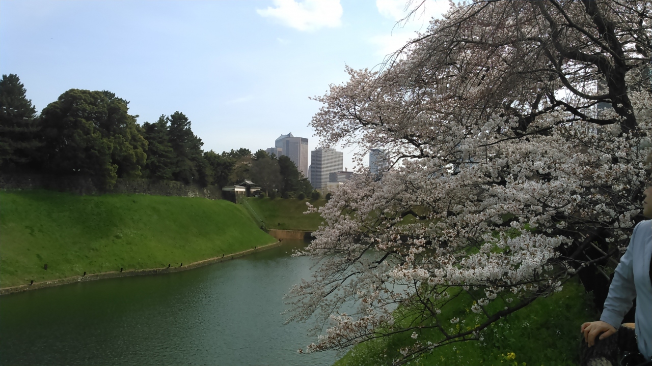 春を愛でる マダムの国立新美術館 神保町 千鳥ヶ淵散歩 六本木 東京 の旅行記 ブログ By よしめさん フォートラベル 春を愛でる マダムの国立新美術館 神保町 千鳥ヶ淵散歩 六本木 東京 の旅行記 ブログ By よしめさん フォートラベル