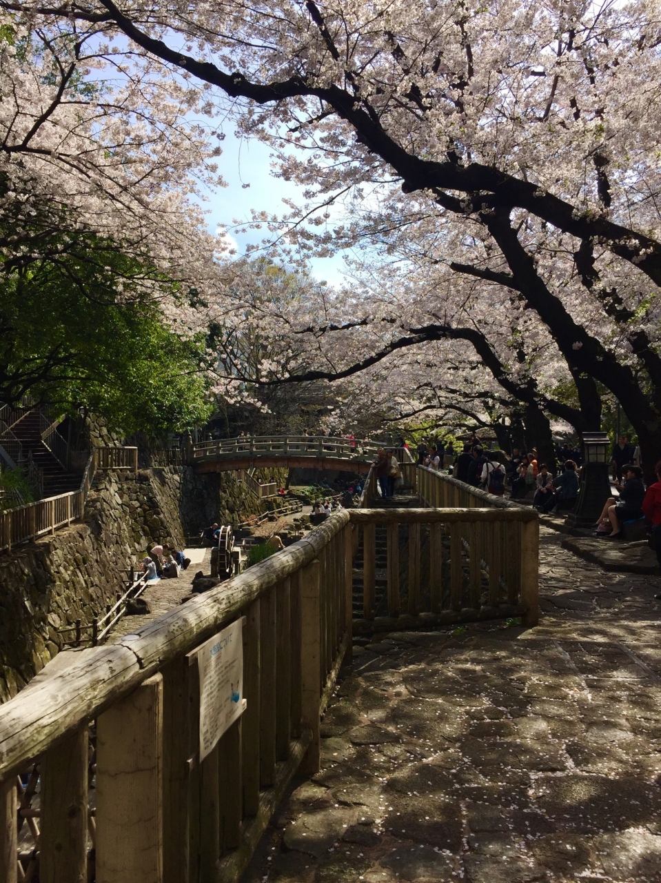 東京 17お花見にでかけました 王子 音無親水公園 飛鳥山公園 王子 十条 東京 の旅行記 ブログ By Kuronekoさん フォートラベル 東京 17お花見にでかけました 王子 音無親水公園 飛鳥山公園 王子 十条 東京 の旅行記 ブログ By Kuronekoさん フォートラベル