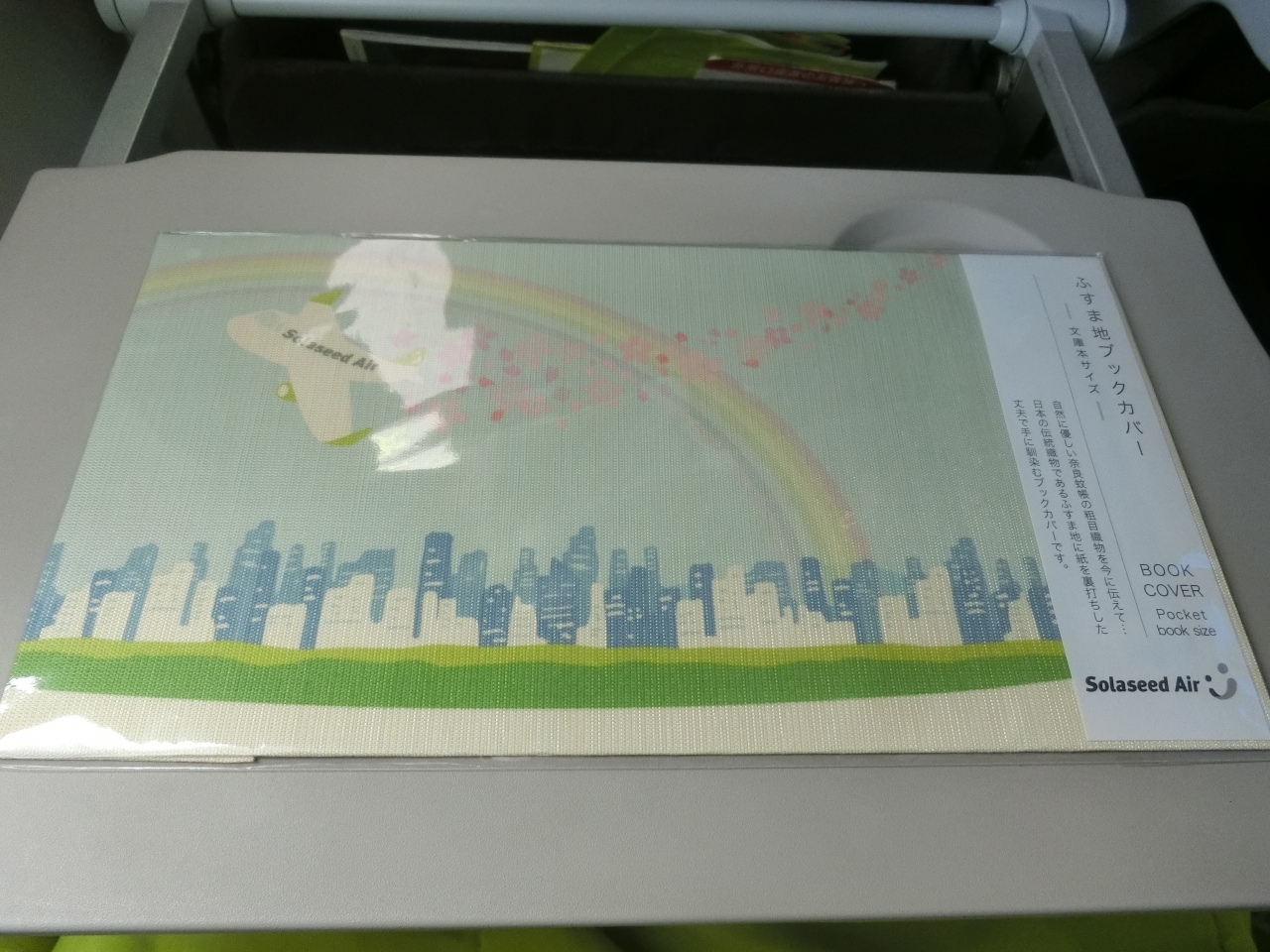 不良会社員が飛ぶ 特典航空券で飛ぶ日帰り九州 監視付き 夫婦旅行 帰京便はソラシドで 編 鹿児島県の旅行記 ブログ By 空飛ぶ旅人さん フォートラベル