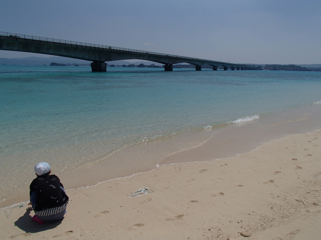 17春 沖縄本島への家族旅行 前編 美ら海 本部 今帰仁 沖縄県 の旅行記 ブログ By Yamasimaさん フォートラベル