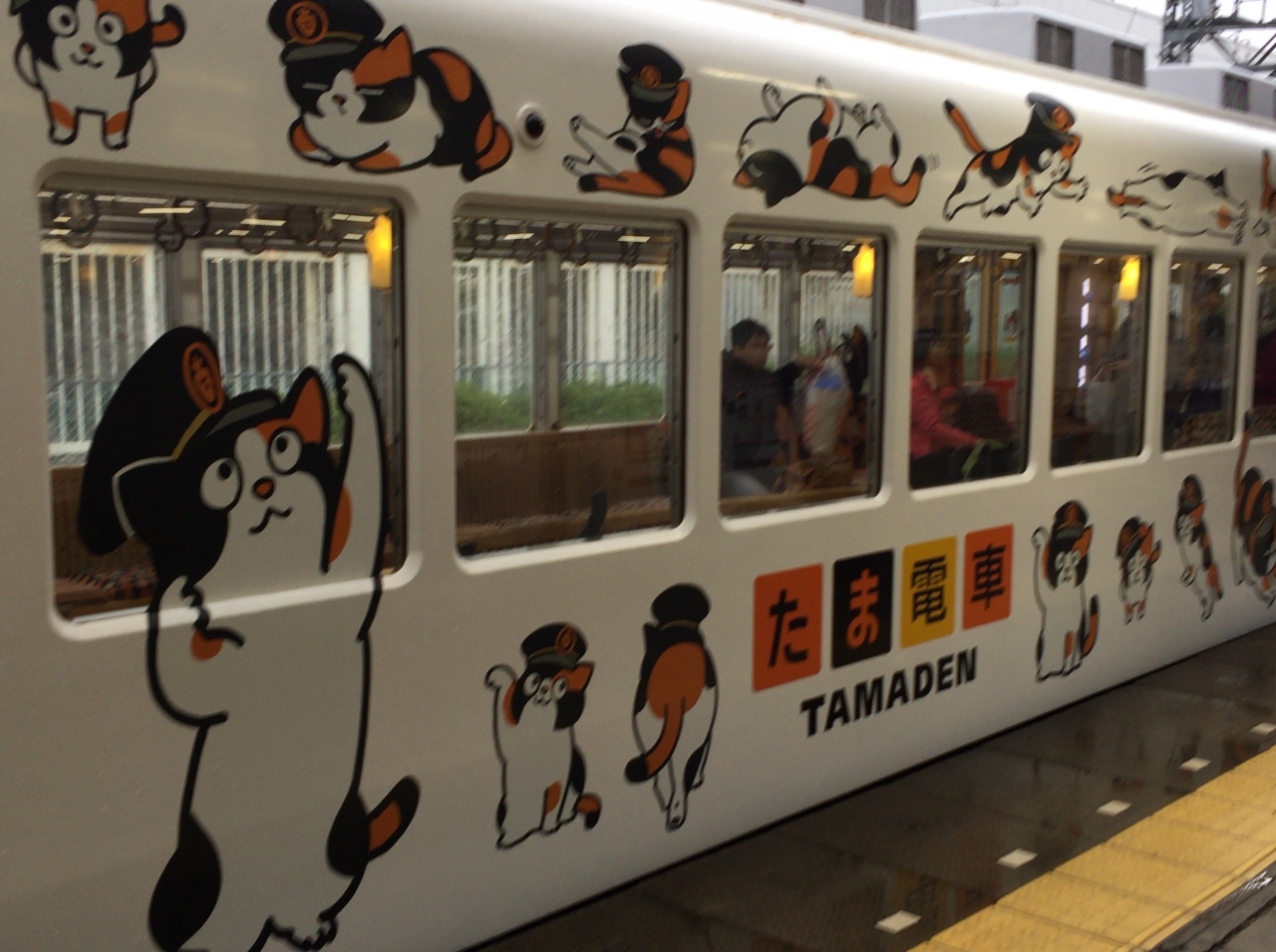 思い立って和歌山ひとり旅 ねこ駅長に会いに貴志駅へ 和歌山市 和歌山県 の旅行記 ブログ By Nagiさん フォートラベル 思い立って和歌山ひとり旅 ねこ駅長に会いに貴志駅へ 和歌山市 和歌山県 の旅行記 ブログ By Nagiさん フォートラベル
