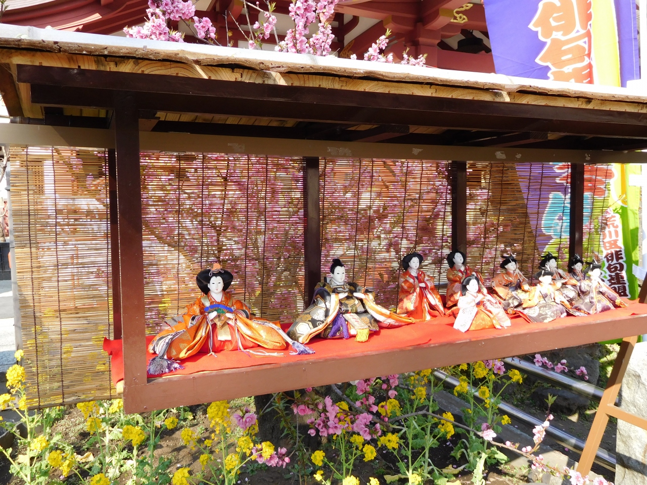 開運 寺社巡り 幻の安行桜が咲く密蔵院と九重神社 桃まつりの雛飾りが素敵な素盞雄神社 北千住 南千住 東京 の旅行記 ブログ By まめ猫さん フォートラベル