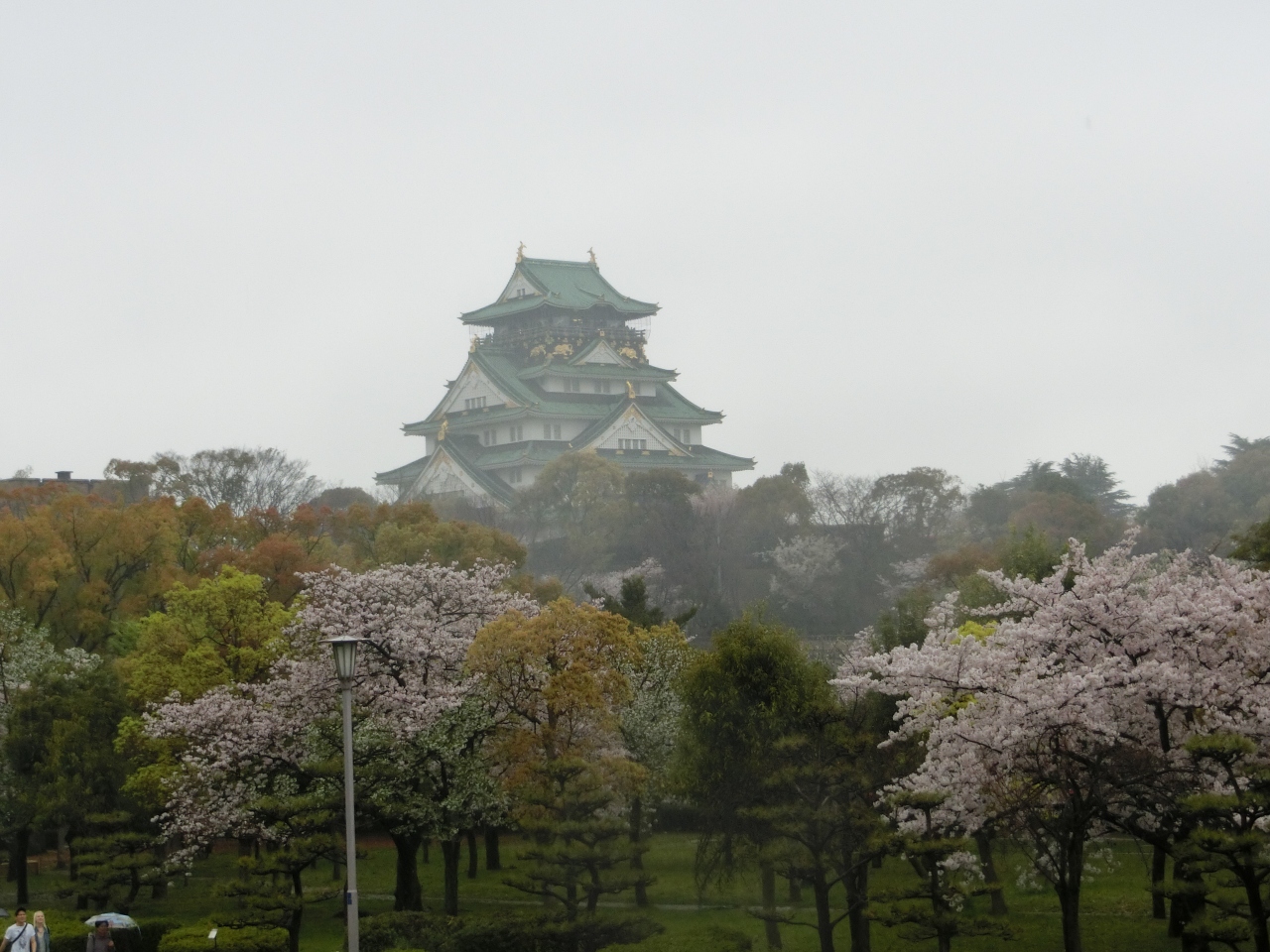 雨の中の大阪城の桜と幻想的な絶景の東寺ライトアップ その1 ミナミ 難波 天王寺 大阪 の旅行記 ブログ By ぴくしーさん フォートラベル 雨の中の大阪城の桜と幻想的な絶景の東寺ライトアップ その1 ミナミ 難波 天王寺 大阪 の旅行記 ブログ By ぴくしーさん フォートラベル