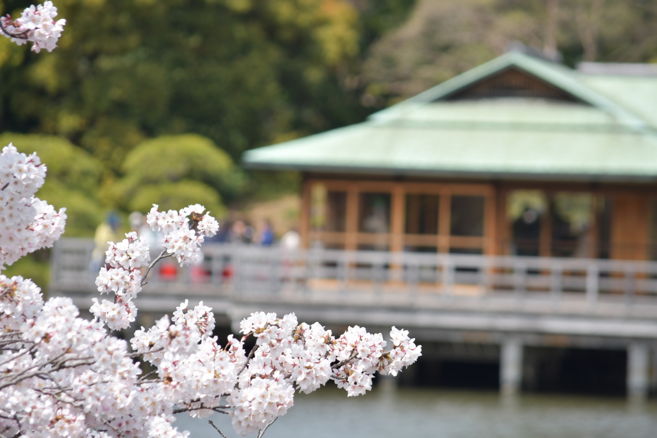 ぶらっと浜離宮恩賜庭園 いつか見たいと思い描いていた 桜と御茶屋の景色 汐留 東京 の旅行記 ブログ By ぬきじゅんさん フォートラベル