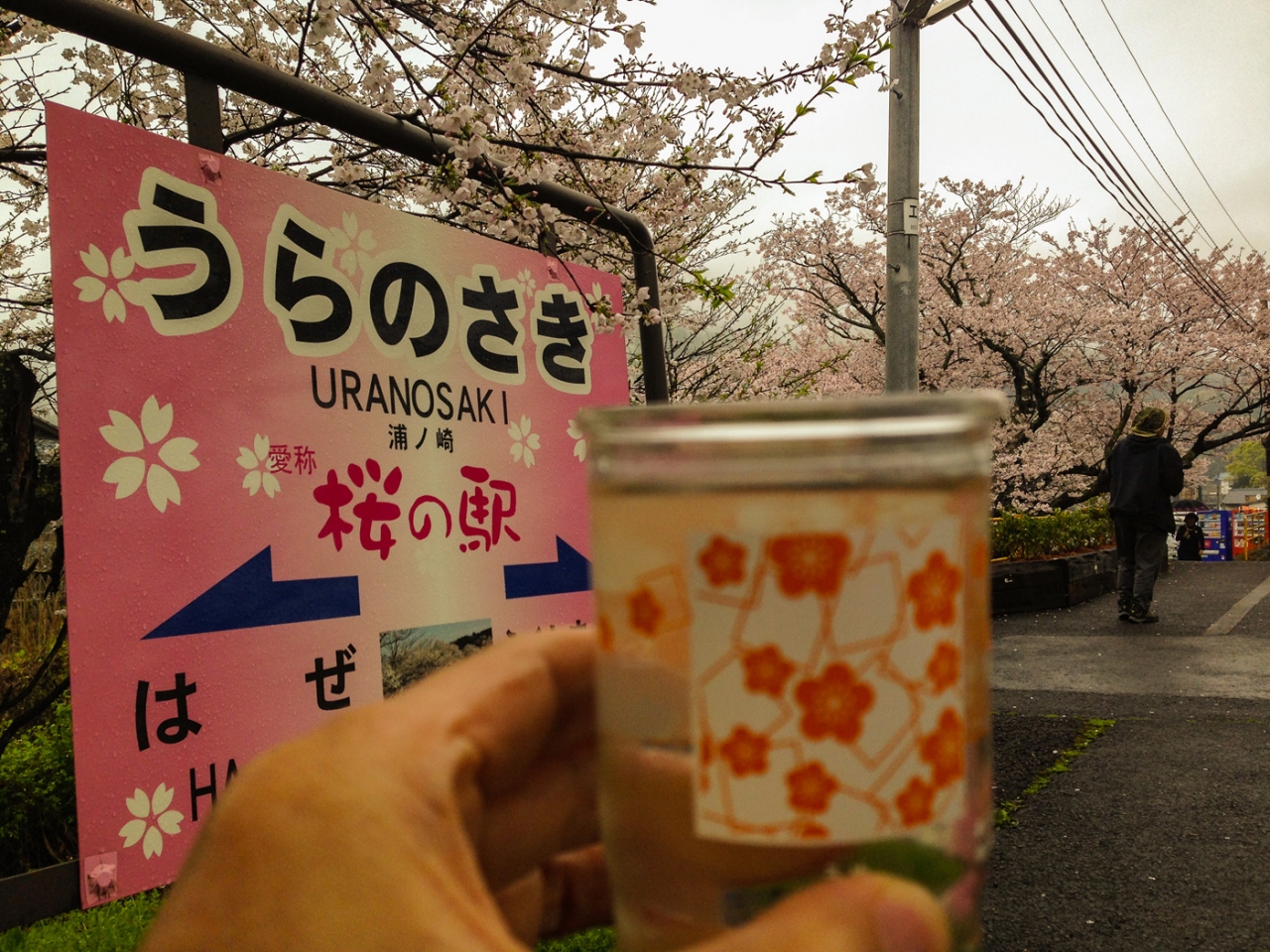 浦ノ崎駅のベンチで花見する 伊万里 佐賀県 の旅行記 ブログ By くわさん フォートラベル