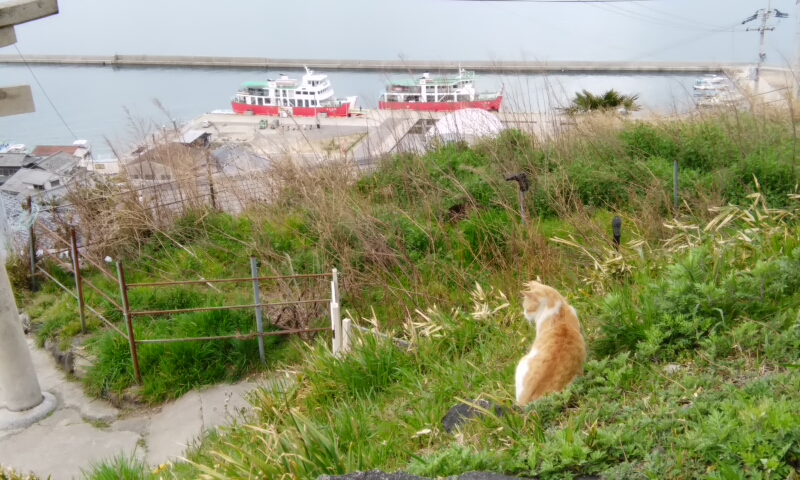 高松 男木島 女木島 大島 猫と郵便局 高松 香川県 の旅行記 ブログ By きたきつねツーリストさん フォートラベル