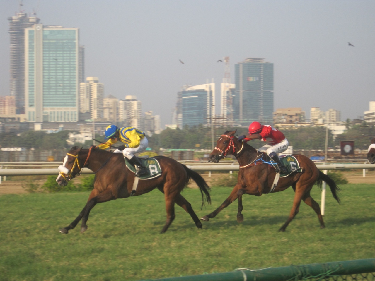 2016 なかなかに(インドでは)設備の整ったムンバイ・マハラクシュミ競馬場でレースを楽しみました!