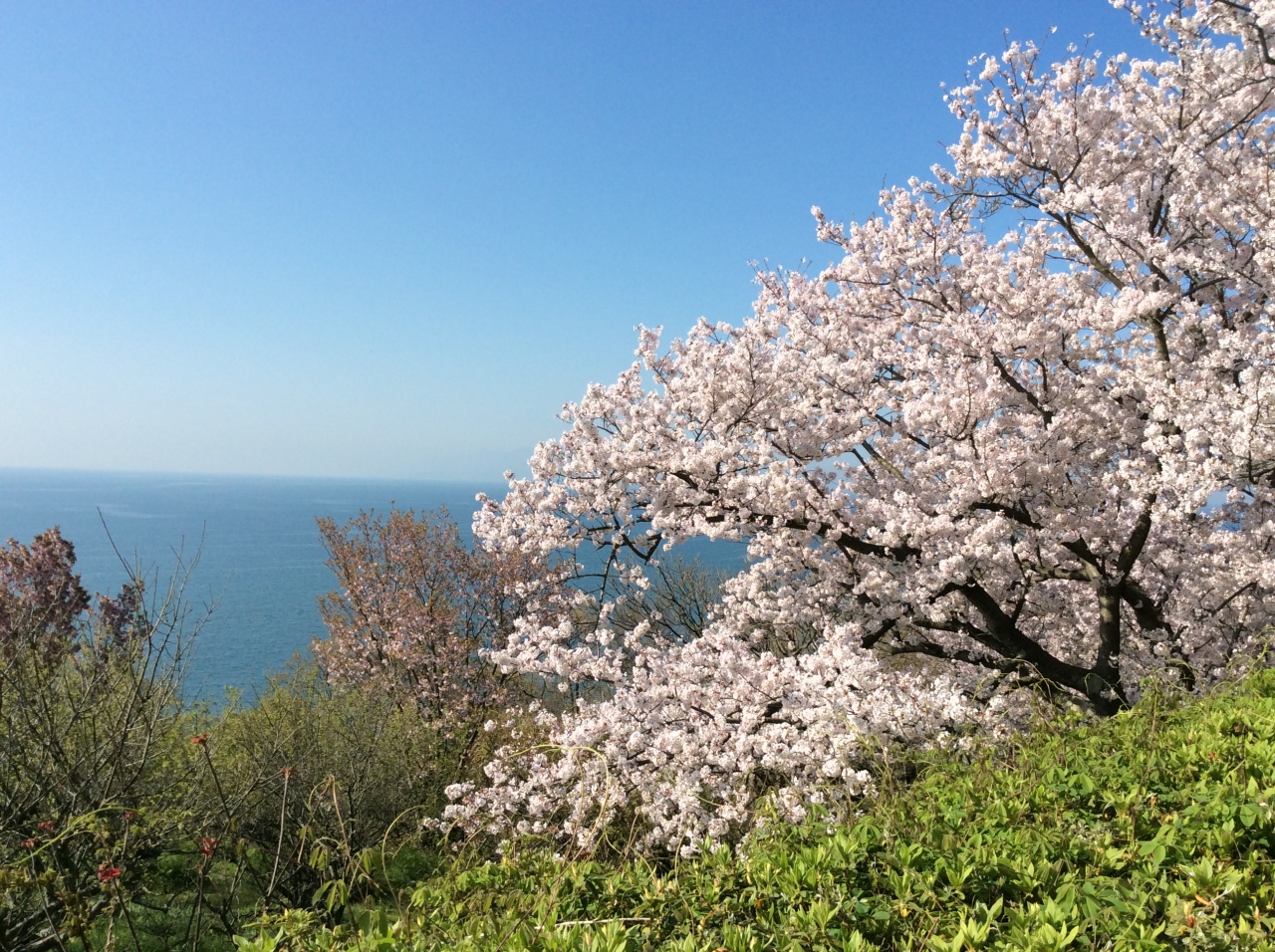 書写山円教寺 赤穂温泉 姫路城と好古園 2日目 桜満開 赤穂 兵庫県 の旅行記 ブログ By Kamyさん フォートラベル 書写山円教寺 赤穂温泉 姫路城と好古園 2日目 桜満開 赤穂 兵庫県 の旅行記 ブログ By Kamyさん フォートラベル