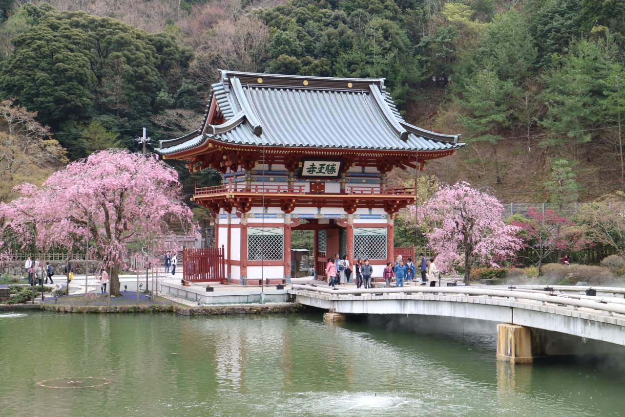 勝尾寺のさくら 箕面 大阪 の旅行記 ブログ By Juriaさん フォートラベル