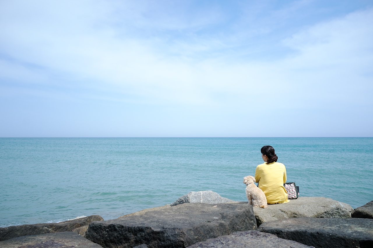予定がない穏やかな日曜日 愛犬を連れて海を見にいこう ついでに美味しいランチにありつければ言うことなし いすみ 大多喜 千葉県 の旅行記 ブログ By G Travelerさん フォートラベル