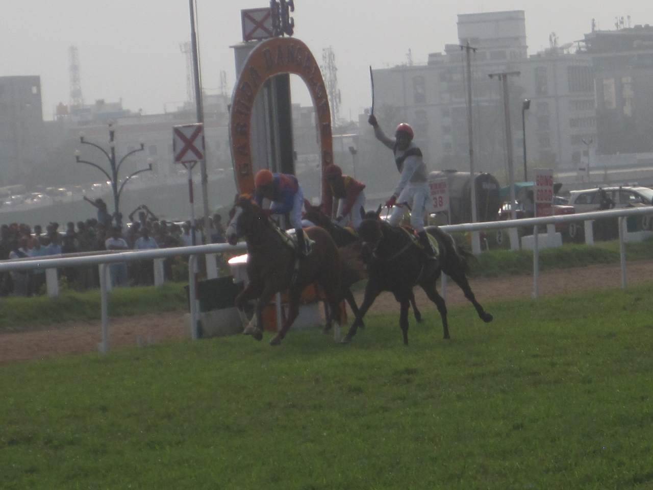 16 バンガロール ダービーの勝ち馬は日本産種牡馬ウィンレジェンド産駒エンジェル ダストでした バンガロール インド の旅行記 ブログ By しどにぃさん フォートラベル