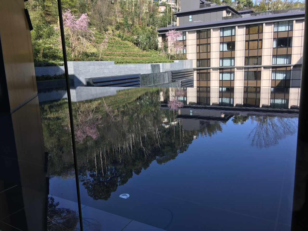 エクシブ湯河原離宮 S和モダン 湯河原温泉 神奈川県 の旅行記 ブログ By 蜜柑de檸檬さん フォートラベル