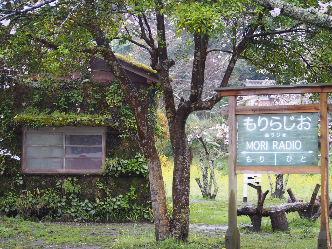 いちはらアートミックス17 晴れたら市原 行こう 市原 千葉県 の旅行記 ブログ By みささん フォートラベル いちはらアートミックス17 晴れたら市原 行こう 市原 千葉県 の旅行記 ブログ By みささん フォートラベル