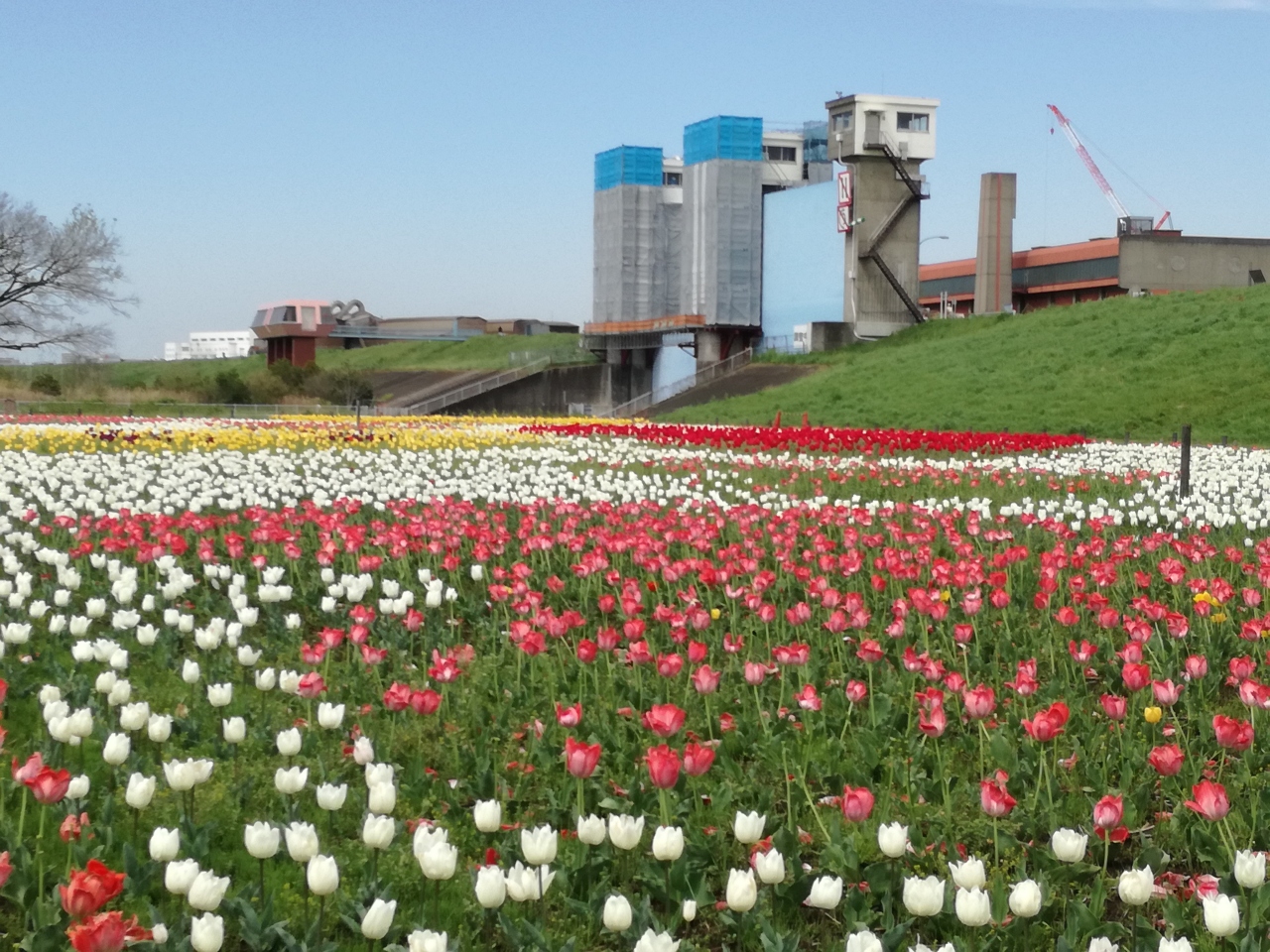 区 天気 今日 の 足立