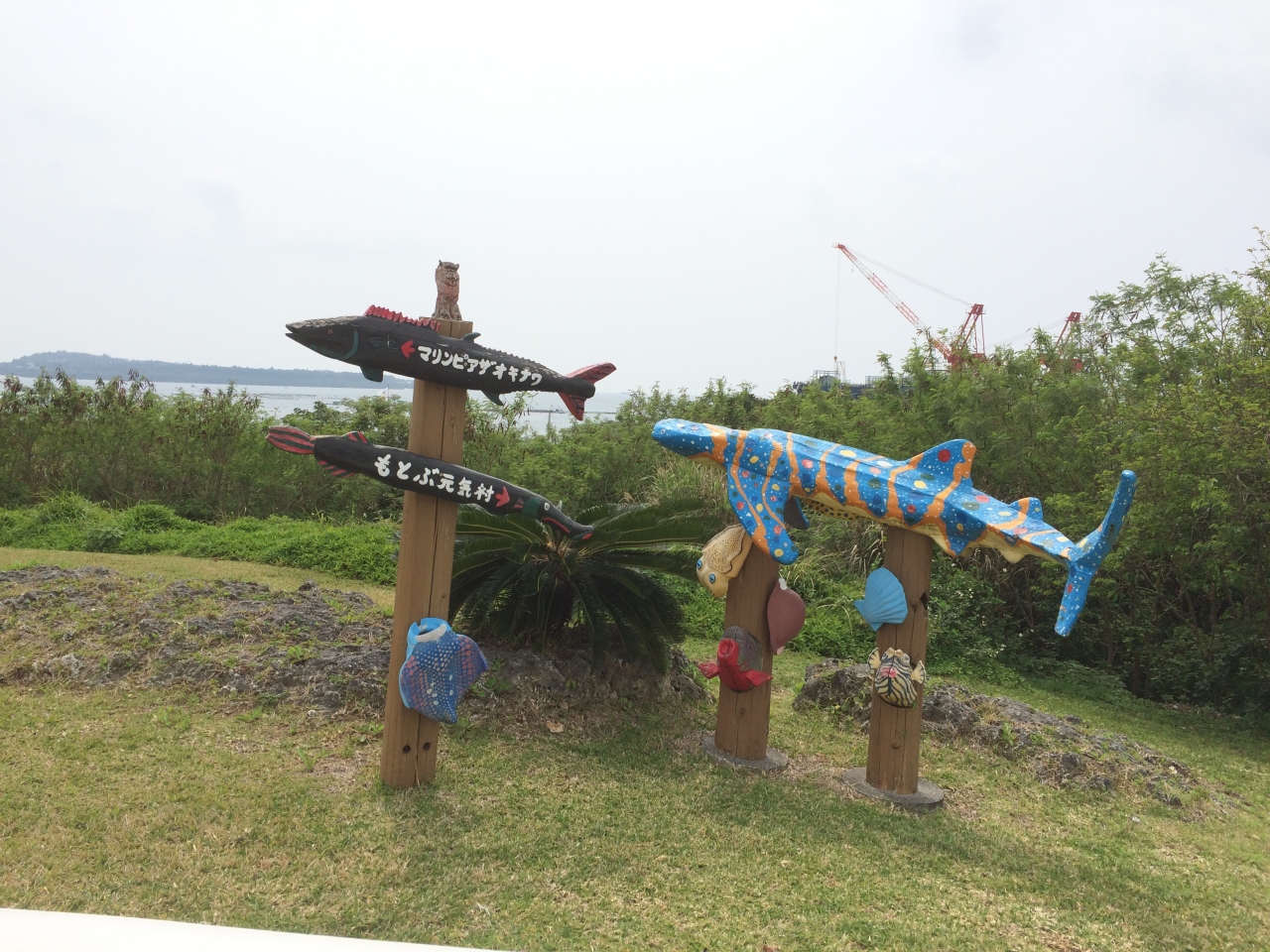 17 春 沖縄 ファミリー旅 3日目 もとぶ元気村 イルカ 乗馬 美ら海 本部 今帰仁 沖縄県 の旅行記 ブログ By ロビンさん フォートラベル