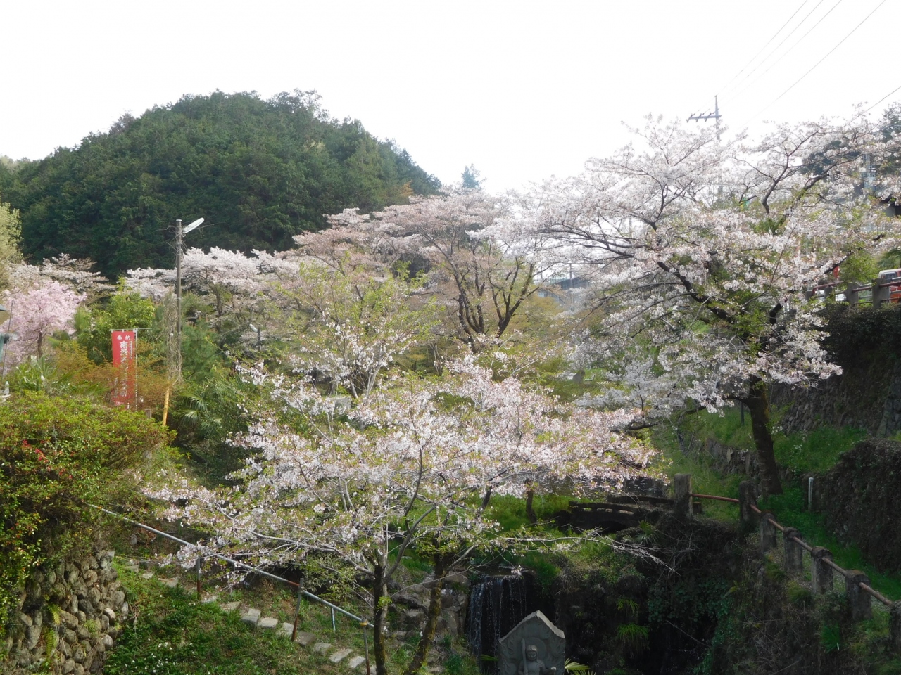 埼玉２０１７桜 ３ 日高 日高 鶴ヶ島 坂戸 埼玉県 の旅行記 ブログ By アイガーさん フォートラベル