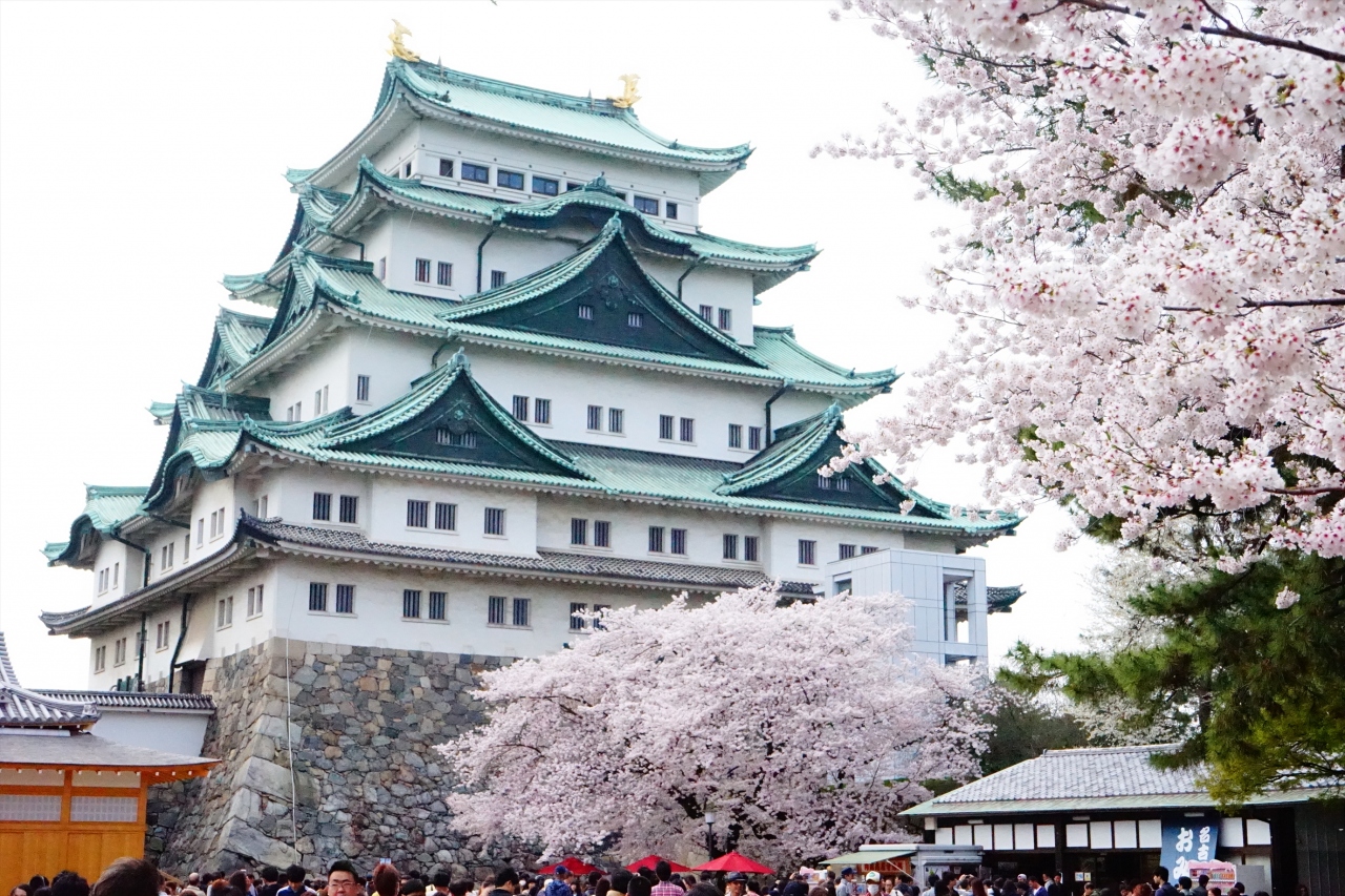 名古屋城と名城公園の桜まつり In 17 名古屋 愛知県 の旅行記 ブログ By さるひこさん フォートラベル