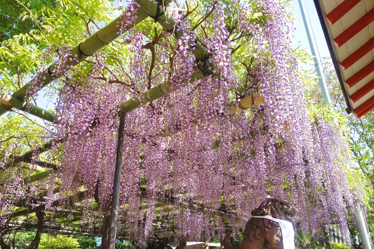 植物園の一覧