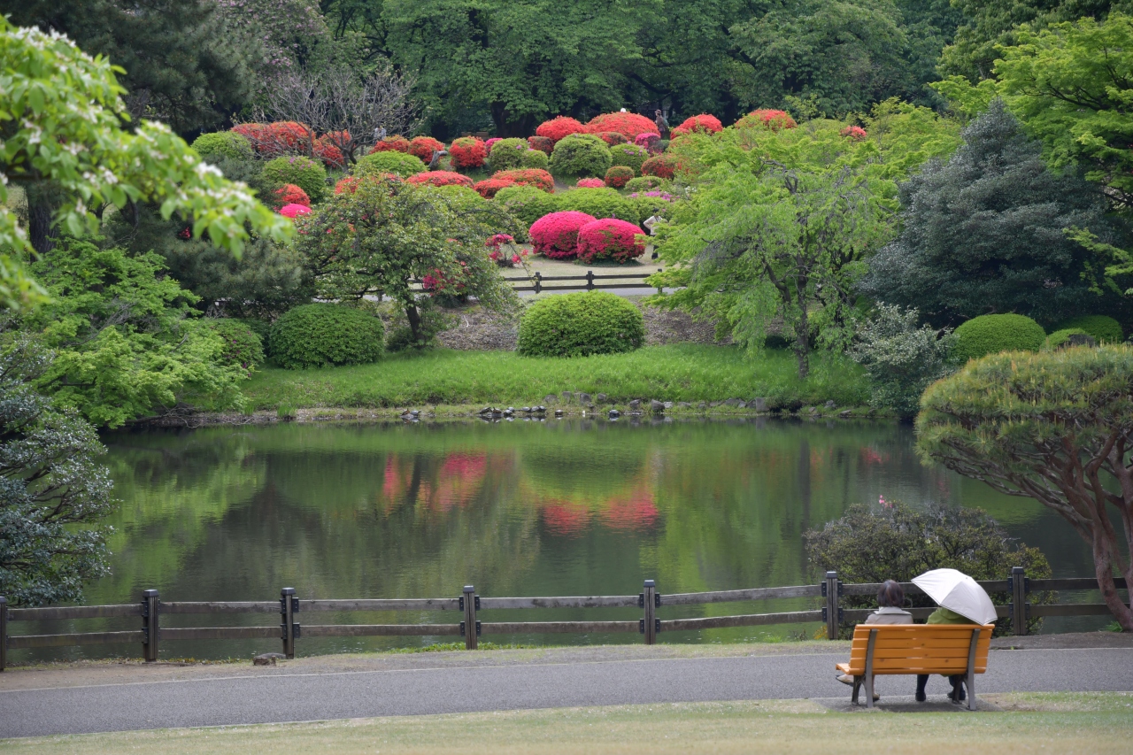 ぶらっと新宿御苑 真っ赤に盛り上がるツツジ山 モミジの新緑もまだまだ桜も楽しめました 新宿 東京 の旅行記 ブログ By ぬきじゅんさん フォートラベル ぶらっと新宿御苑 真っ赤に盛り上がるツツジ山 モミジの新緑もまだまだ桜も楽しめました 新宿 東京 の旅行記 ブログ By ぬきじゅんさん フォートラベル