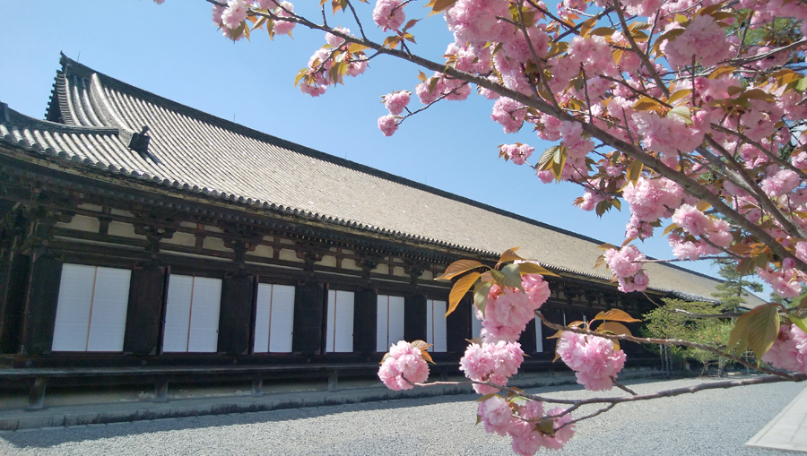 久しぶりに蓮華王院三十三間堂へ 京都駅周辺 京都 の旅行記 ブログ By Belleduneさん フォートラベル