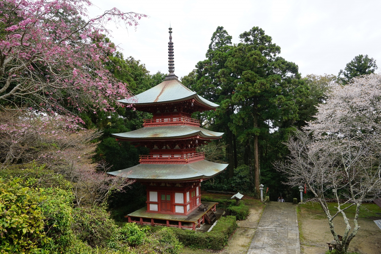 17 4 遠州三山 油山寺 可睡斎 法多山尊永寺 巡り 袋井 静岡県 の旅行記 ブログ By Mo2さん フォートラベル