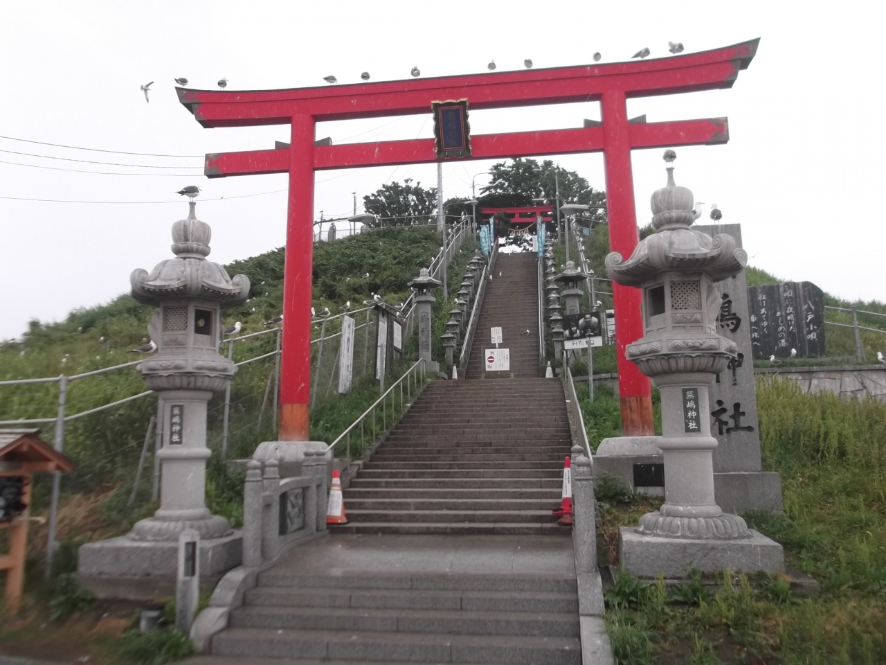 高速バスうみね号に乗ってウミネコさんに会いに行く旅 八戸 青森県 の旅行記 ブログ By アヒルのつばささん フォートラベル