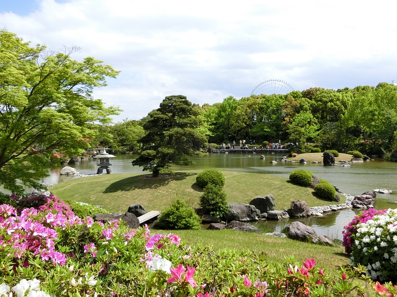 大阪万博記念公園 新緑の日本庭園 つつじケ丘 フジ棚 をホロホロ散歩 17 吹田 万博公園 大阪 の旅行記 ブログ By Hy 2217さん フォートラベル