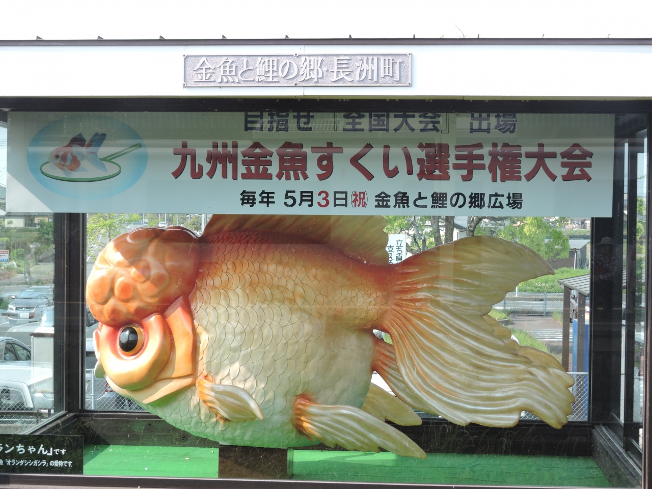 ラムサール条約湿地の荒尾干潟と火の国長洲金魚まつり 玉名 荒尾 熊本県 の旅行記 ブログ By よっちゃんさん フォートラベル