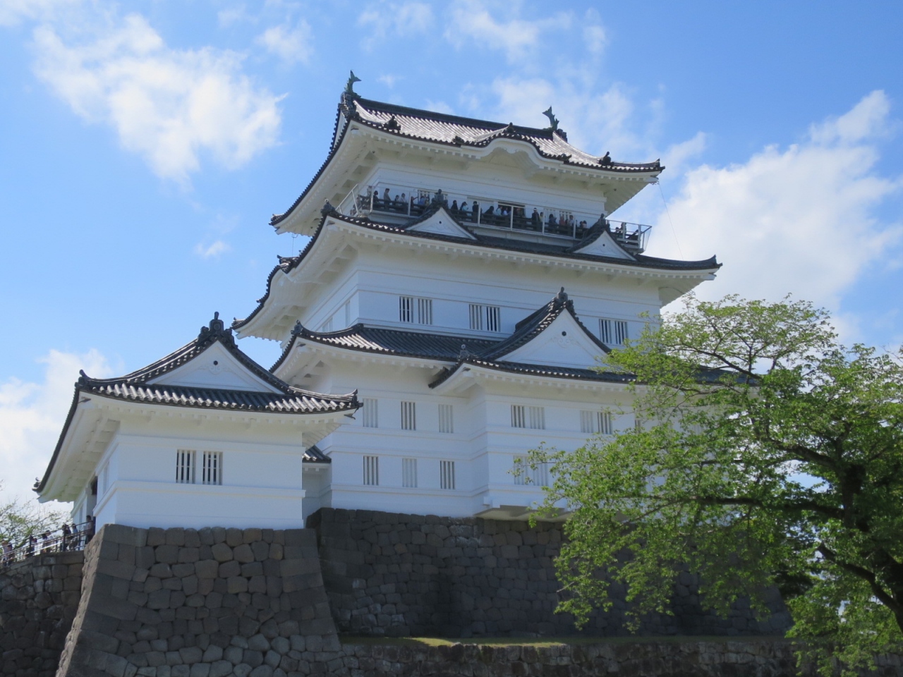 自転車で小田原城までポタリング』小田原(神奈川県)の旅行記・ブログ 