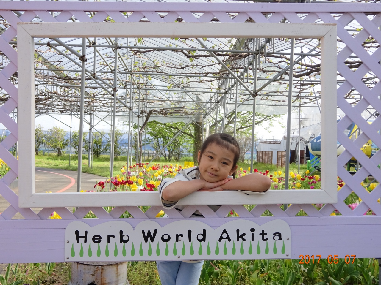 秋田県由利本荘市 にしめ道の駅 と ハーブワールドakita 2 鳥海 由利 秋田県 の旅行記 ブログ By けいたろうさん フォートラベル