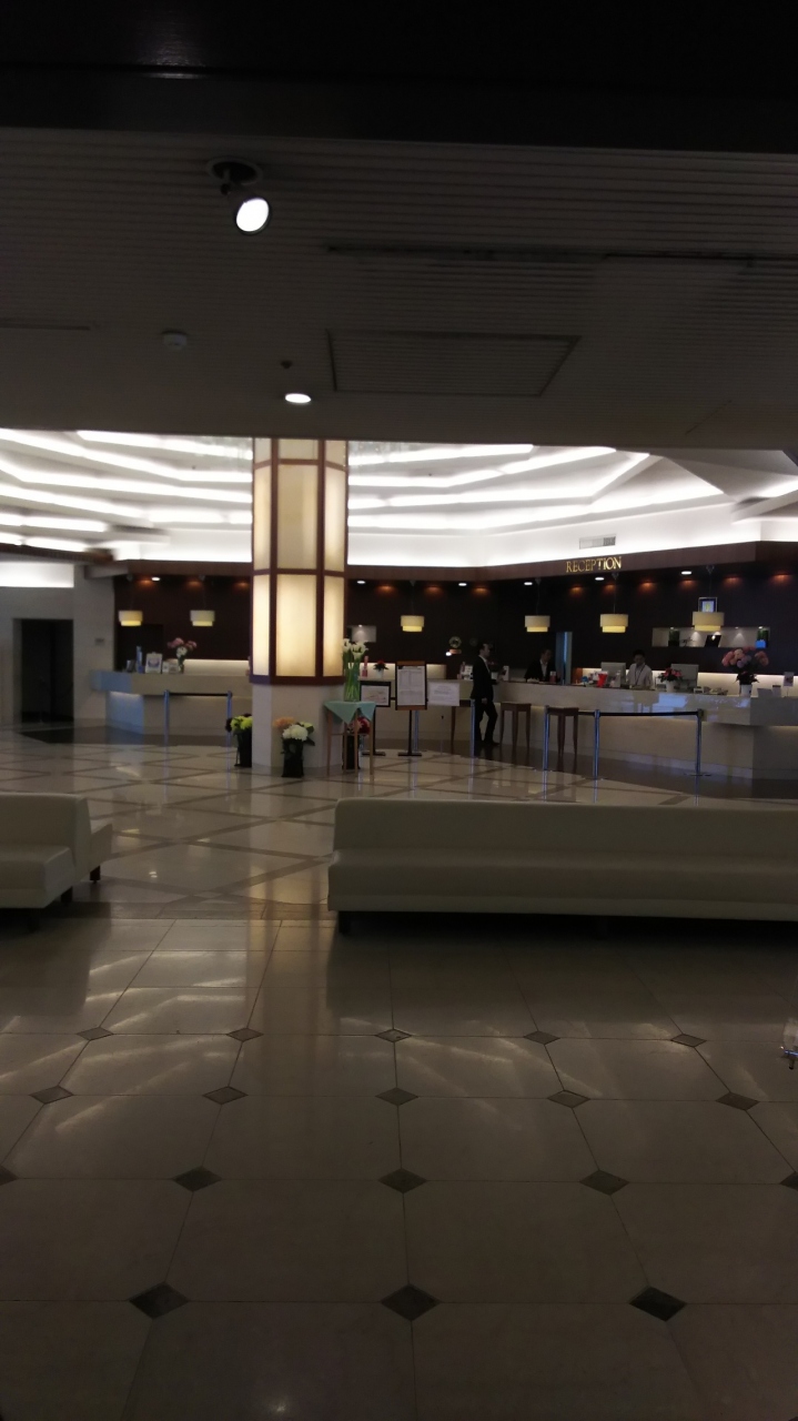 成田ビューホテルステイ 温泉付 5月26日 成田 千葉県 の旅行記 ブログ By Amさん フォートラベル