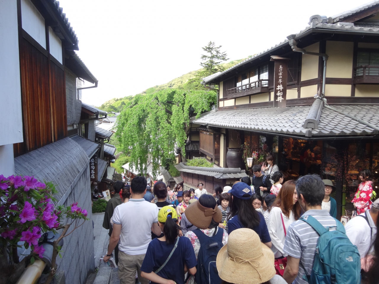 17年5月 清水寺から八坂神社までの京町家が続く東山を歩く 東山 祇園 北白川 京都 の旅行記 ブログ By Brioさん フォートラベル