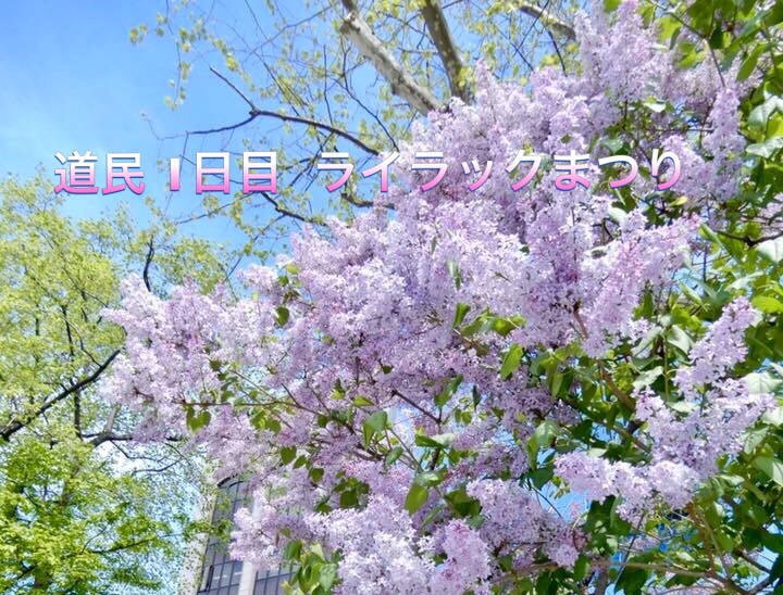 さっぽろ ライラックまつり 優しい香りとマリアージュ 札幌 北海道 の旅行記 ブログ By 豚のしっぽさん フォートラベル さっぽろ ライラックまつり 優しい香りとマリアージュ 札幌 北海道 の旅行記 ブログ By 豚のしっぽさん フォートラベル