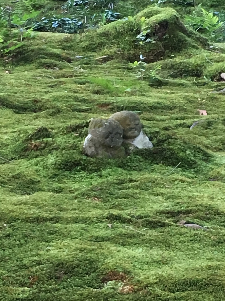 苔と緑を求めて 八瀬 大原 貴船 鞍馬 京都 の旅行記 ブログ By ラクメさん フォートラベル 苔と緑を求めて 八瀬 大原 貴船 鞍馬 京都 の旅行記 ブログ By ラクメさん フォートラベル