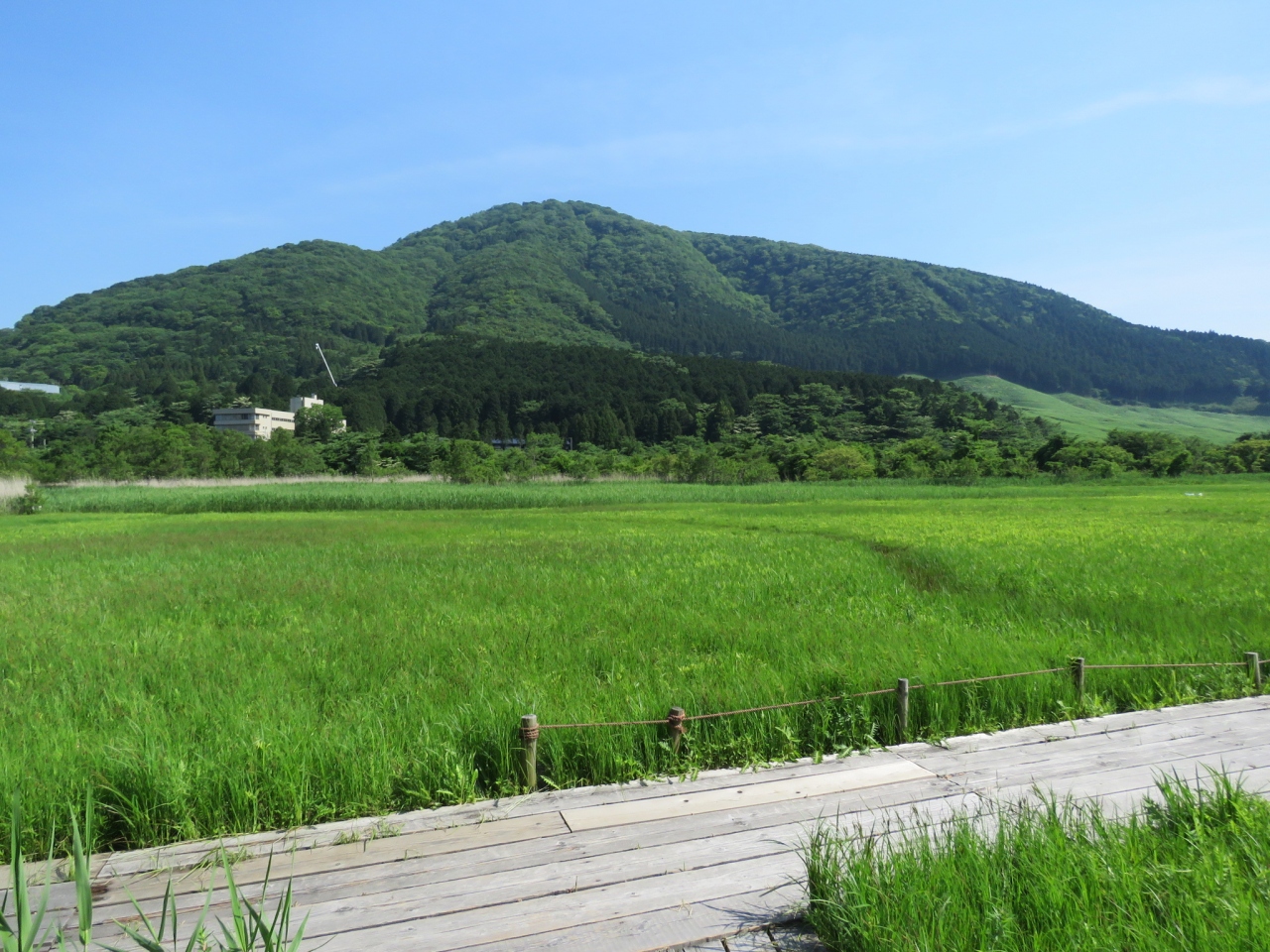 二人そろっての箱根旅行 箱根湿性花園訪問その4 仙石原 神奈川県 の旅行記 ブログ By Tsunetaさん フォートラベル 二人そろっての箱根旅行 箱根湿性花園訪問その4 仙石原 神奈川県 の旅行記 ブログ By Tsunetaさん フォートラベル