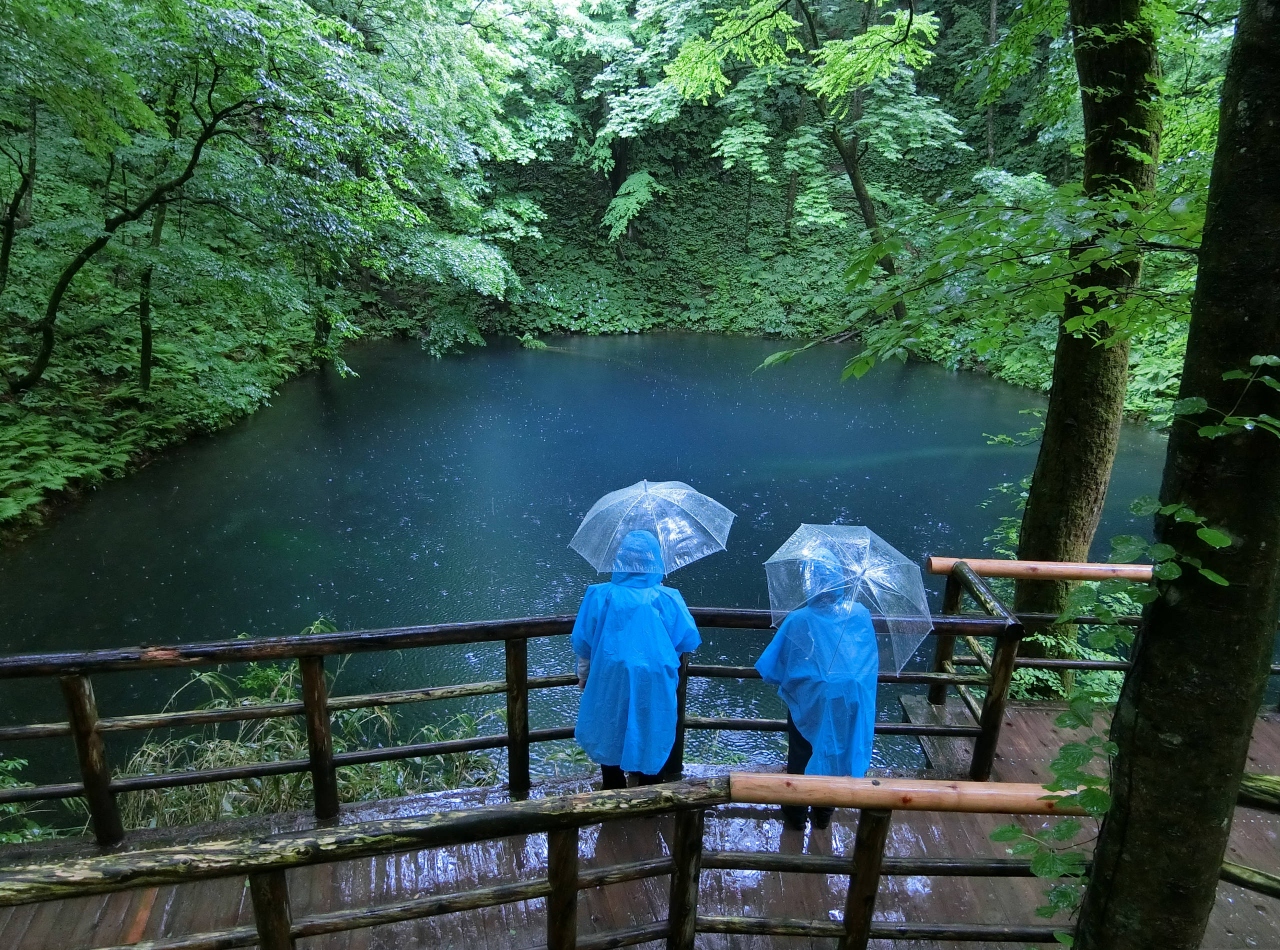 ４泊５日で白神山地他 東北の山を登る 白神山地 青森県 の旅行記 ブログ By ほいみさん フォートラベル