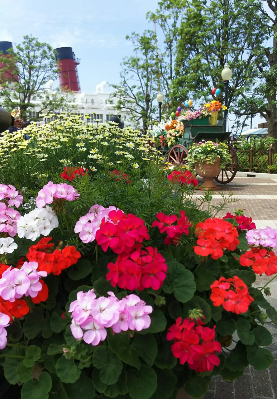 Tds 東京ベイ舞浜ホテルステイ6月9日 11日 東京ディズニーリゾート 千葉県 の旅行記 ブログ By Amさん フォートラベル Tds 東京ベイ舞浜ホテルステイ6月9日 11日 東京ディズニーリゾート 千葉県 の旅行記 ブログ By Amさん フォートラベル