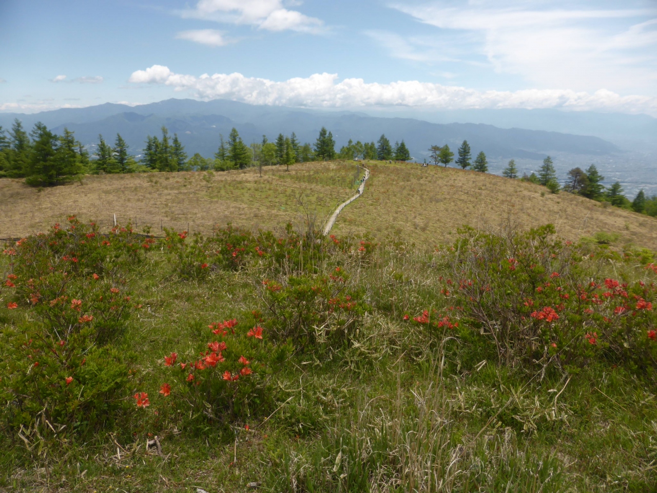 今年も山ゴハン始めました 山梨百名山 甘利山 南アルプス市 山梨県 の旅行記 ブログ By きしゆめさん フォートラベル