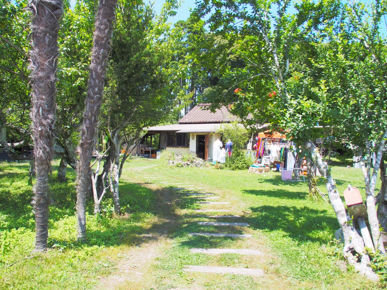 ヤギのいる異空間カフェ ライステラスカフェ いすみ 大多喜 千葉県 の旅行記 ブログ By みささん フォートラベル