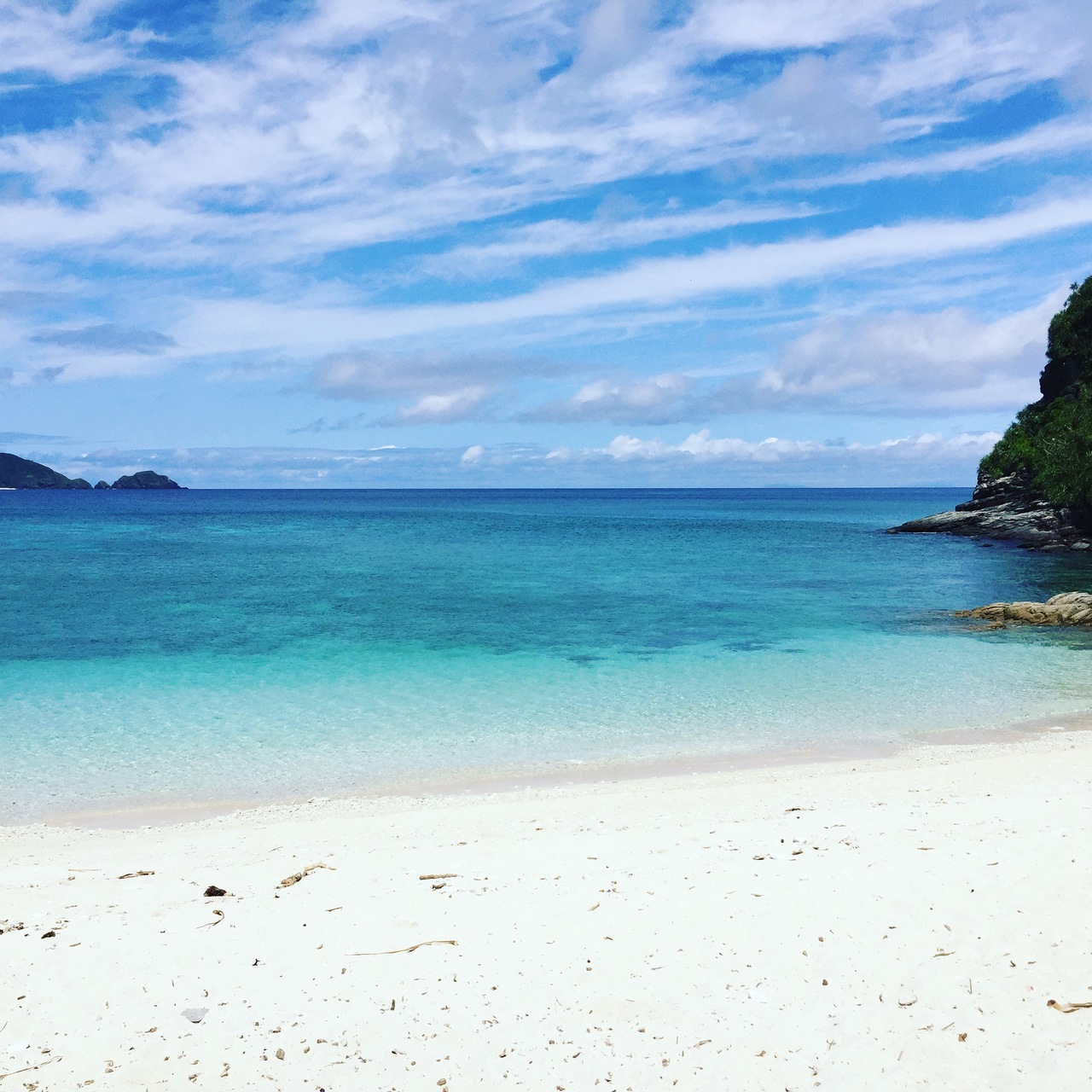 ウミガメと泳ぎたくて 5泊6日の1人旅 慶良間諸島 沖縄県 の旅行記 ブログ By Sumirekameさん フォートラベル