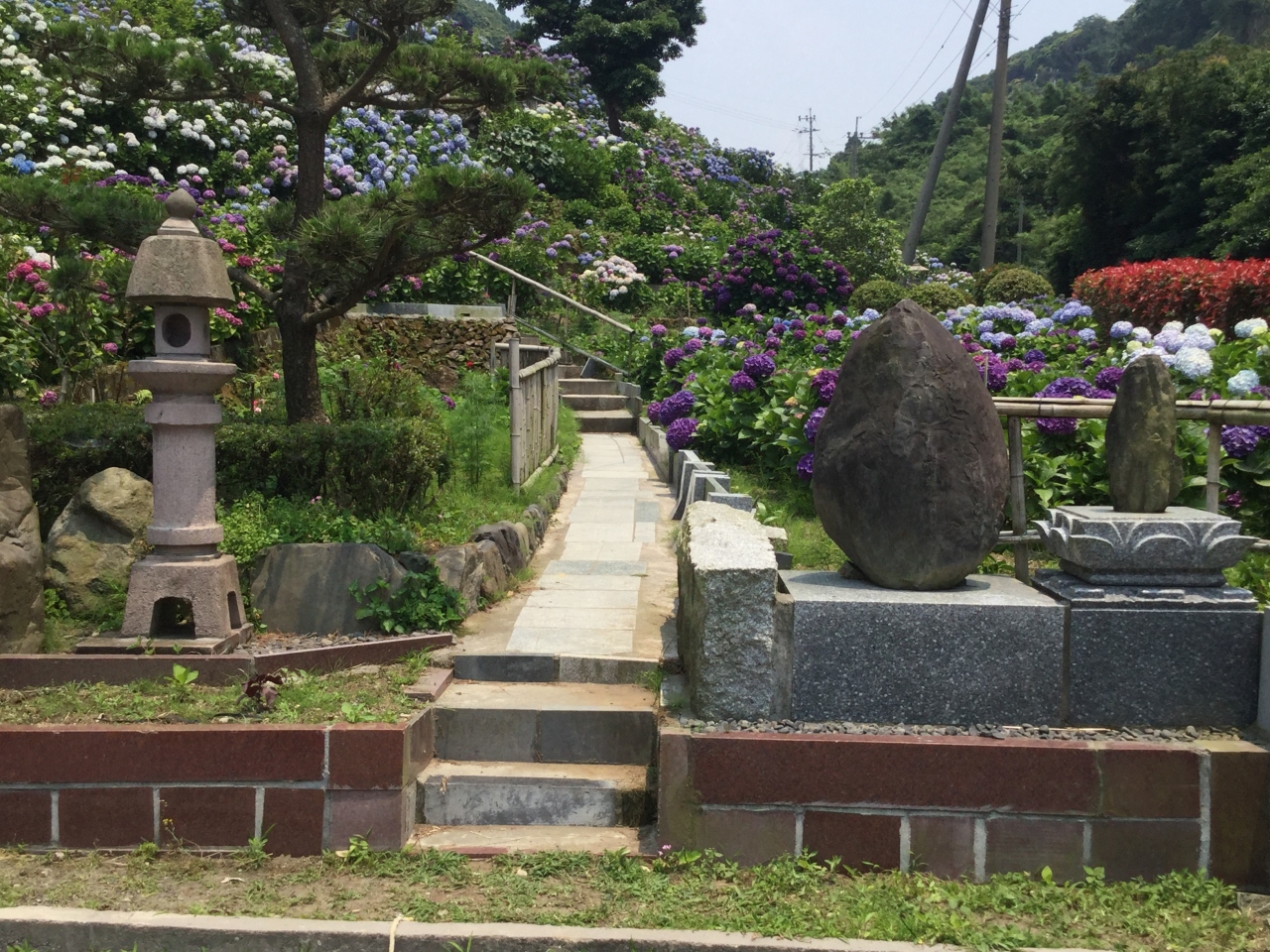 アジサイが綺麗と聞いて早速行って見ました いこいの里園 鹿児島県鹿屋市 大隅半島 鹿屋 垂水 志布志 肝属 鹿児島県 の旅行記 ブログ By あーちゃんさん フォートラベル アジサイが綺麗と聞いて早速行って見ました いこいの里園 鹿児島県鹿屋市 大隅半島 鹿屋 垂水 志布志 肝属 鹿児島県 の旅行記 ブログ By あーちゃんさん フォートラベル