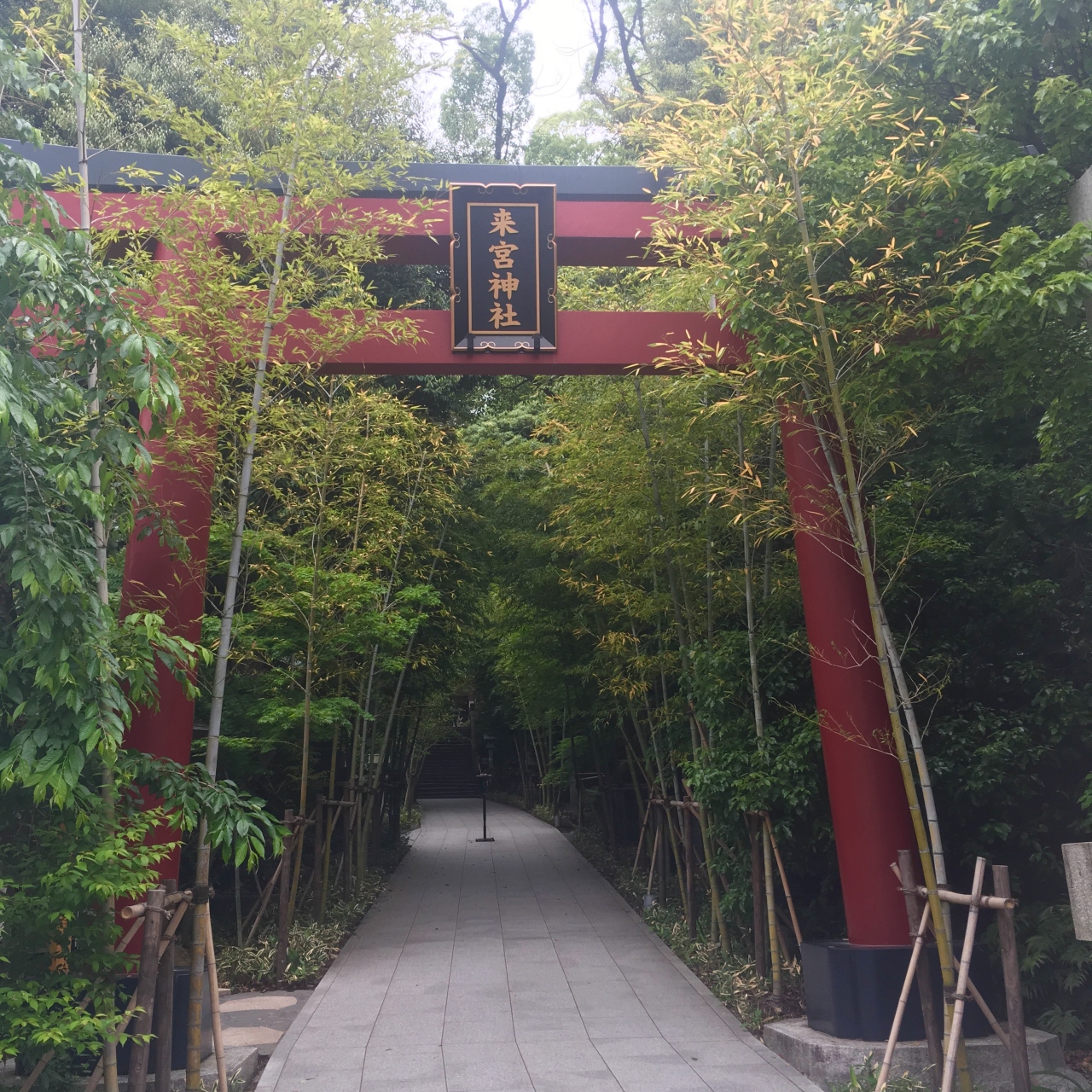 熱海２日目 兄の結婚式で来宮神社へ 熱海 静岡県 の旅行記 ブログ By Haakoさん フォートラベル